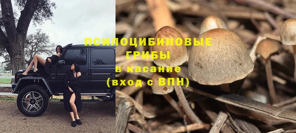 прущая мука Бугульма