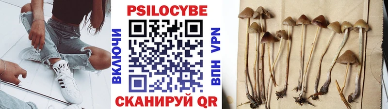 гидра ссылка  Дегтярск  Псилоцибиновые грибы ЛСД 